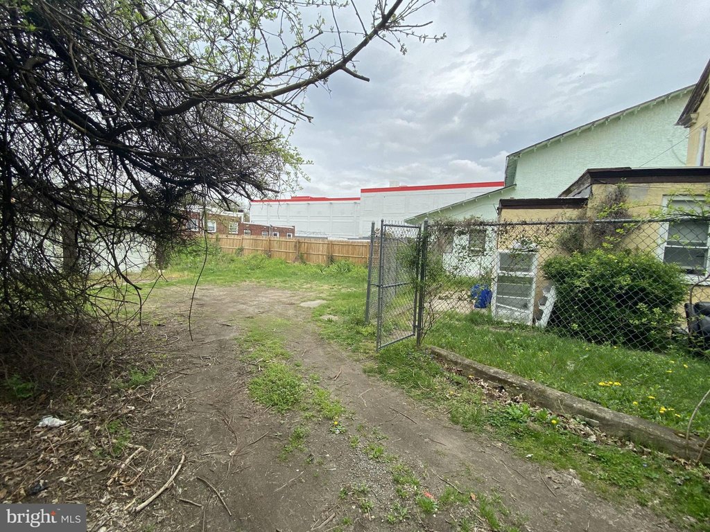 Picture 45
