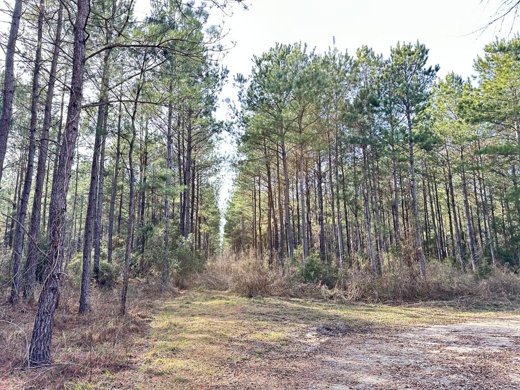 Picture 15