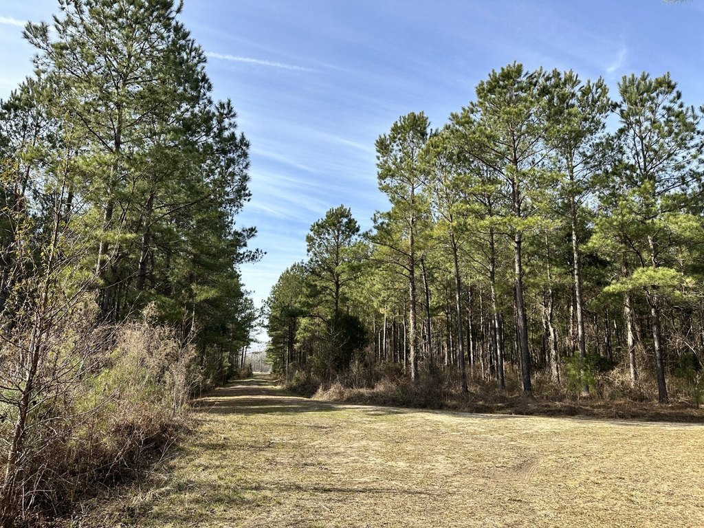 Picture 14