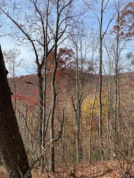 Unrestricted Hunting Land with USNF Frontage