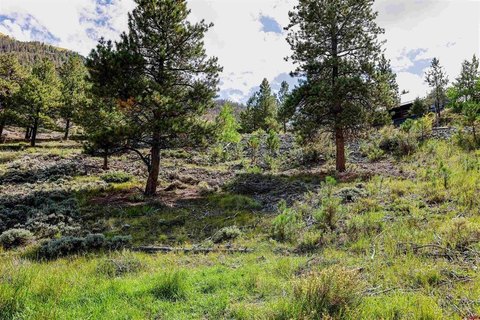 LAND, Lake City, CO