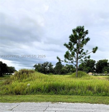 LAND - Poinciana, FL