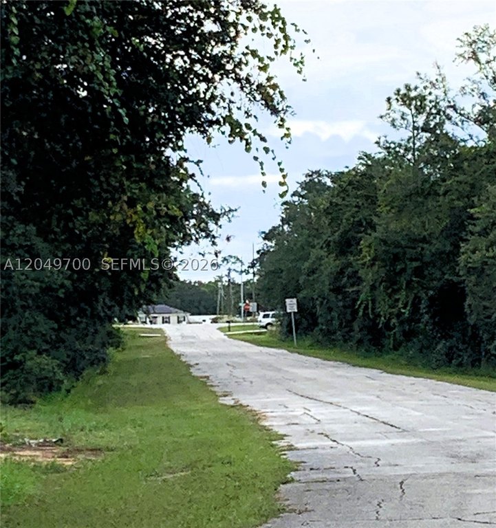 Picture 9
