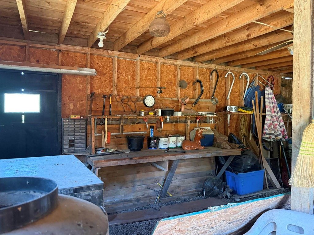Picture 10
