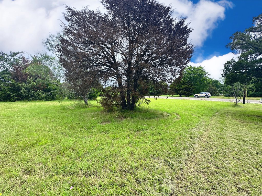 Picture 14