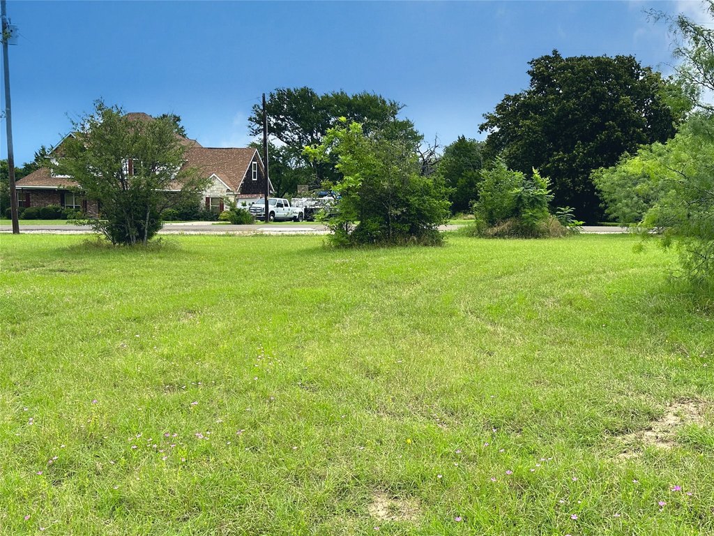 Picture 28