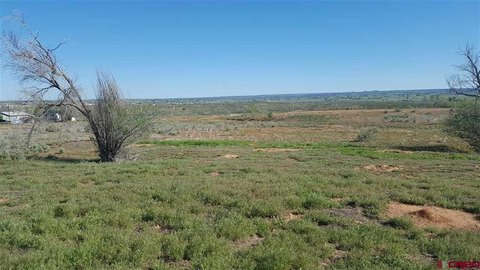 32.4 Acres of Land, Cortez