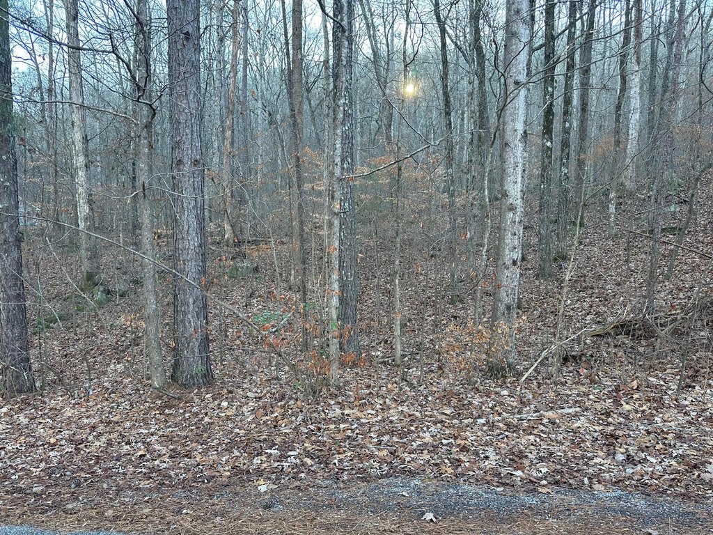 Picture 2