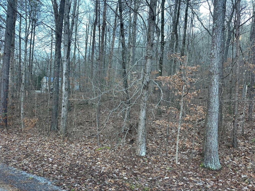 Picture 3