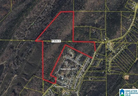 Timbered Hunting Land Tract