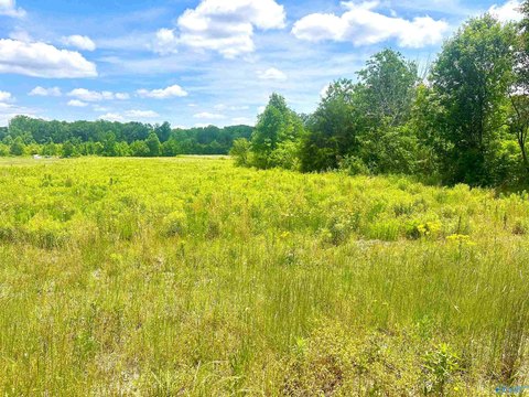 LAND - Athens, AL