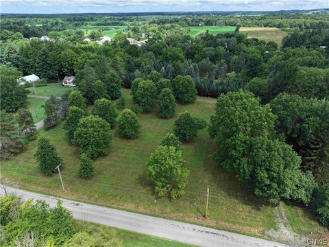 LAND - Collins, NY