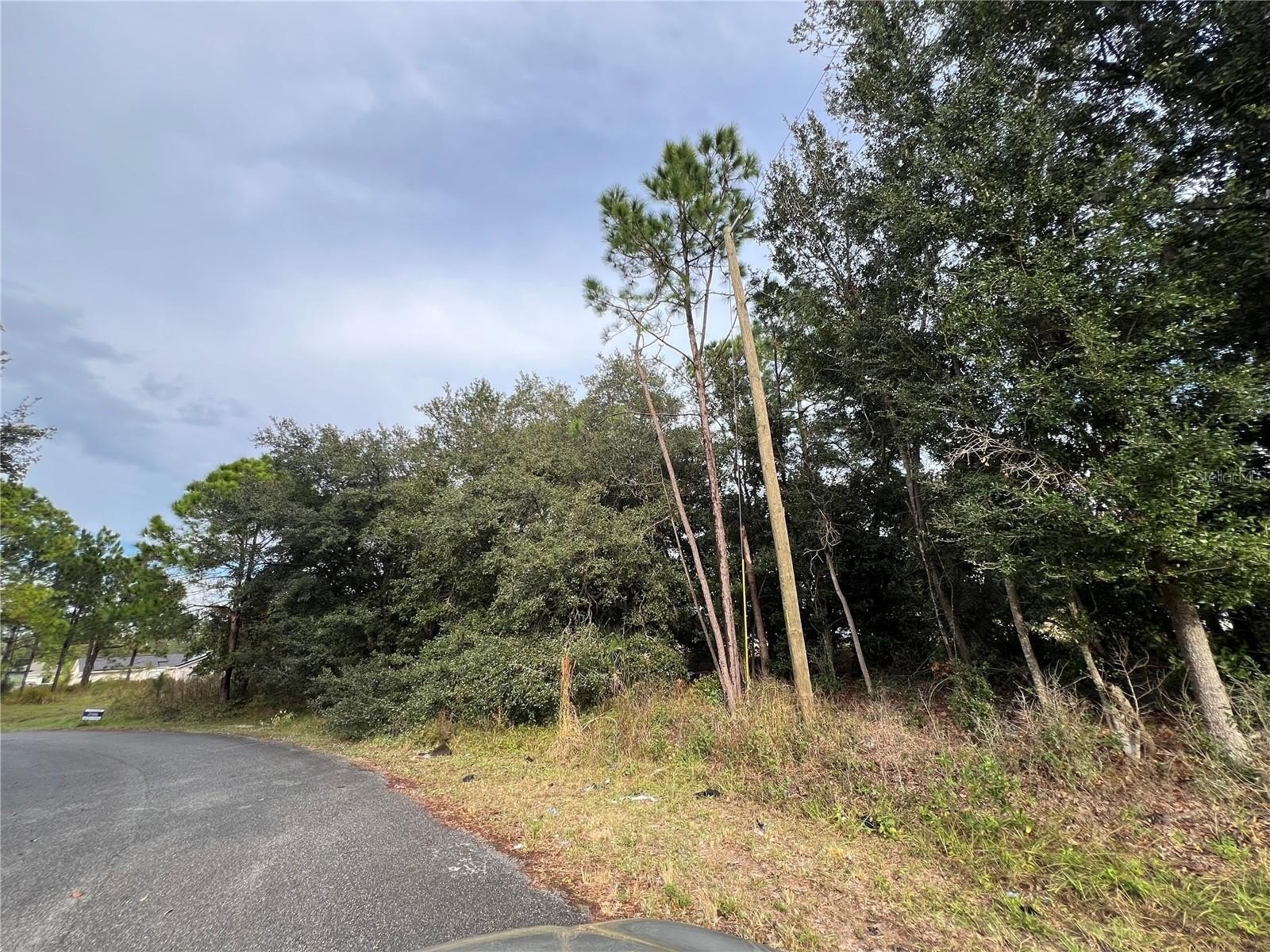 Vacant Land in Poinciana