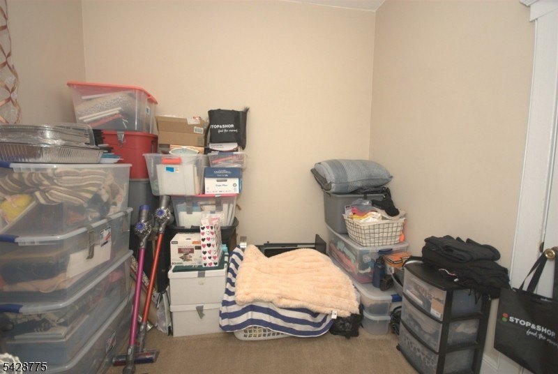Picture 13