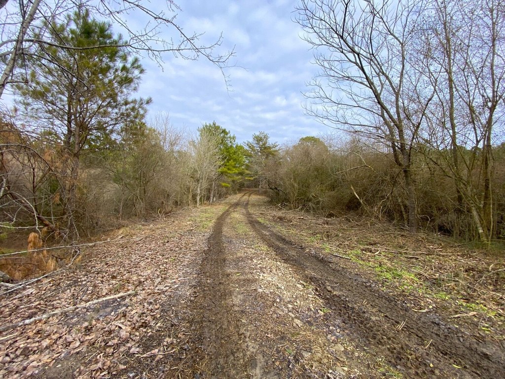 Picture 10