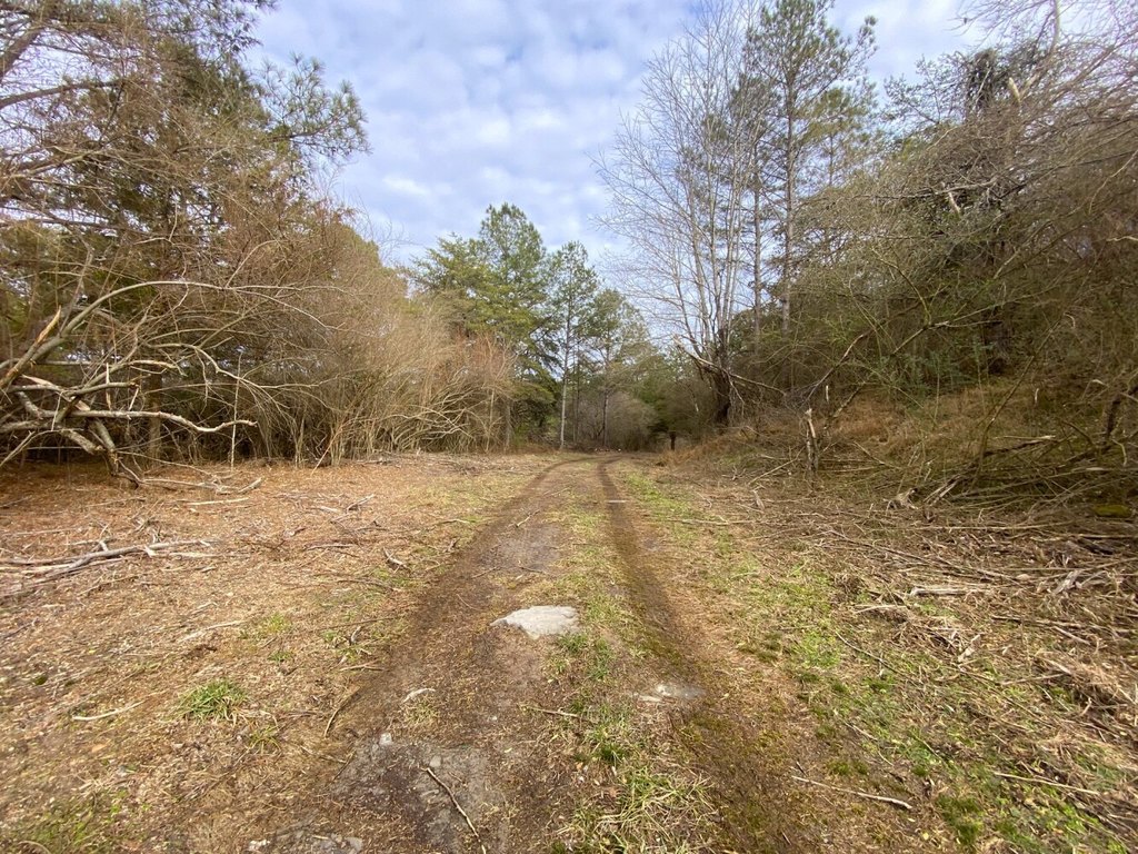 Picture 4