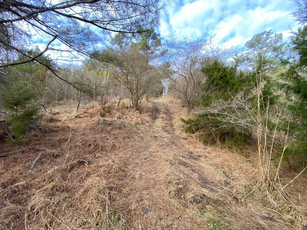 Picture 12