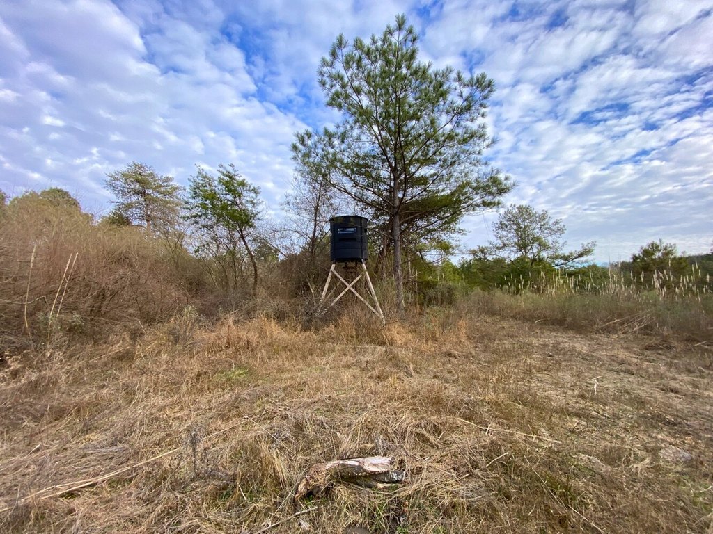 Picture 13
