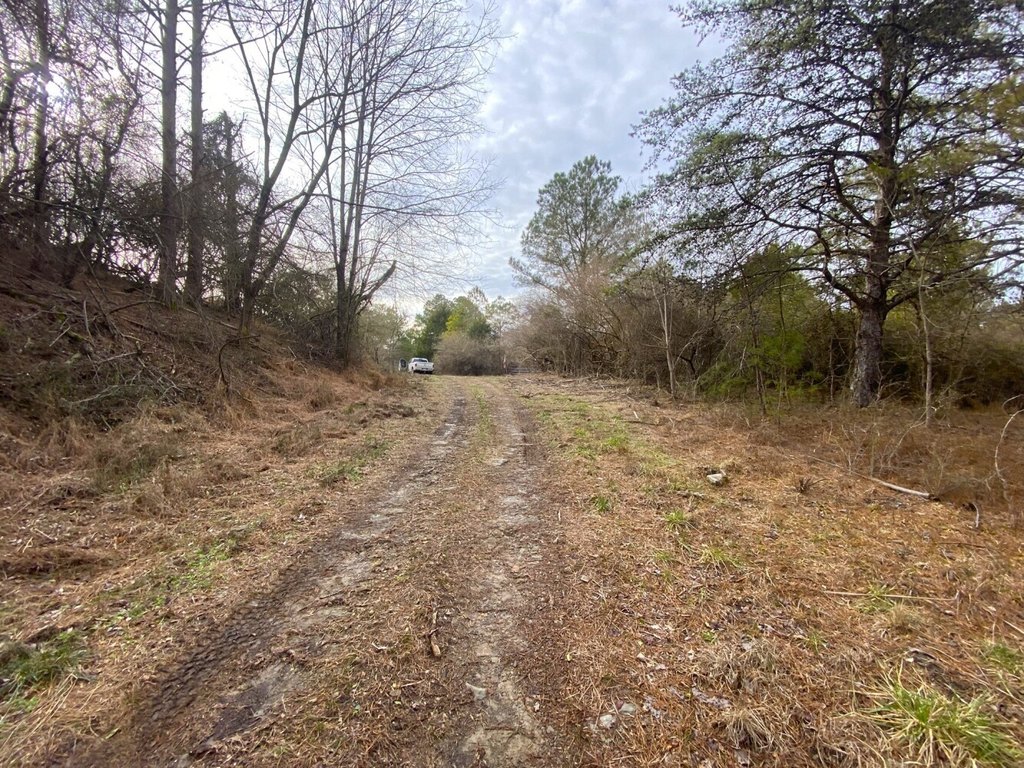 Picture 18