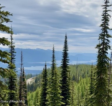 Ski In/Ski Out Homesite