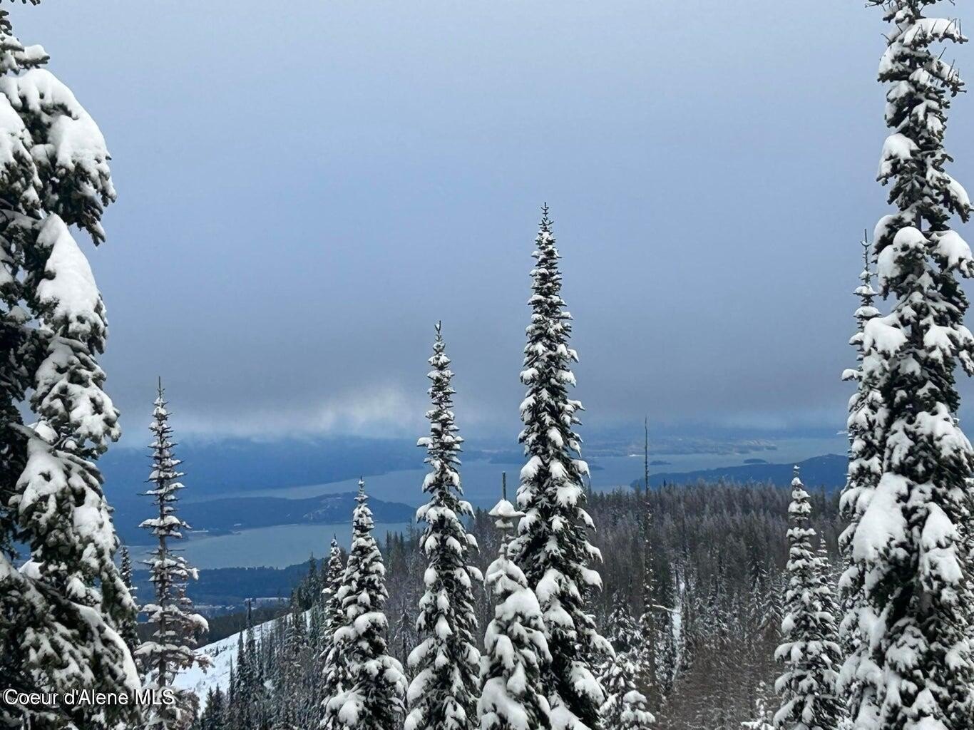 Ski In/Ski Out Homesite