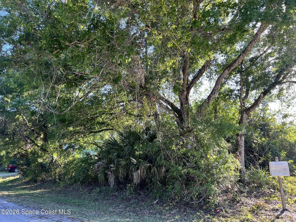 Picture 5