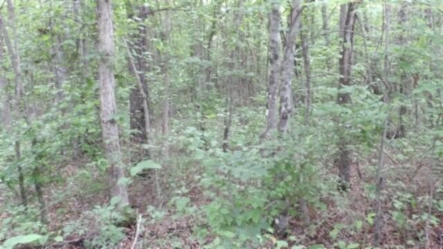 Picture 13