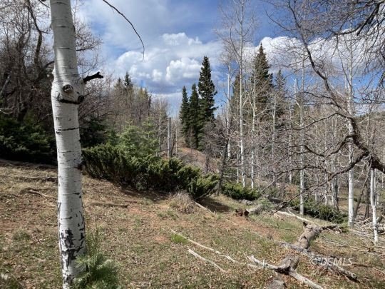 Residential Lot Near Duck Creek