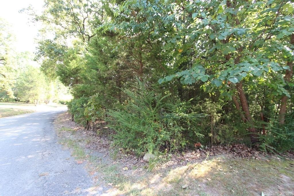 Picture 3