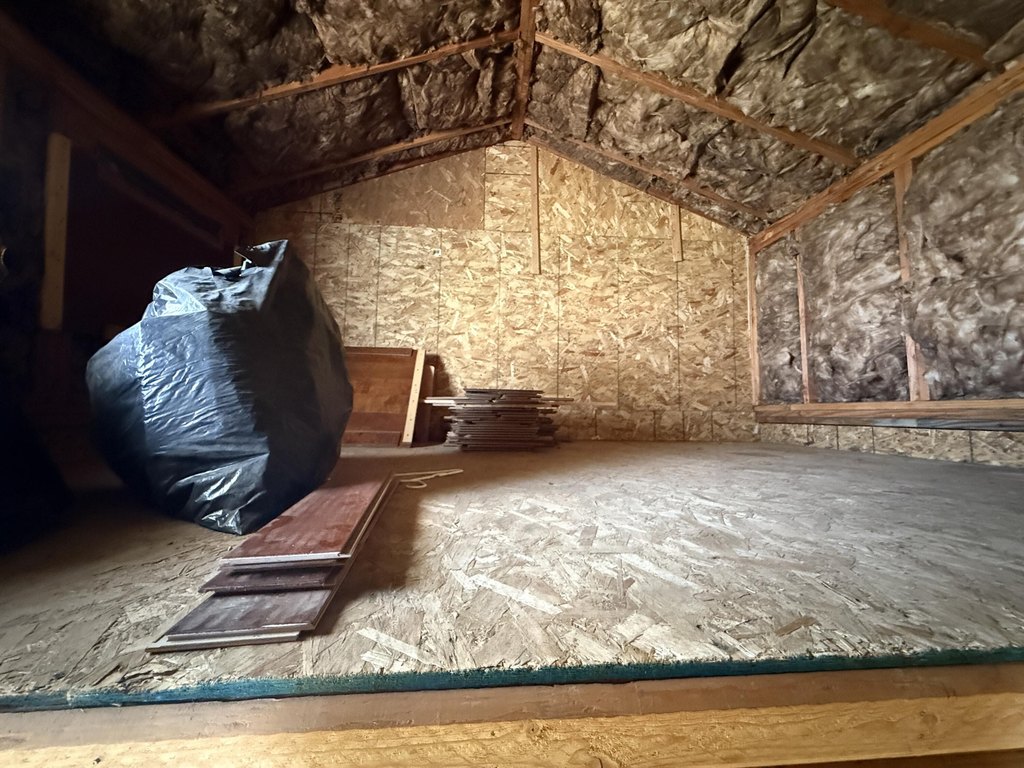 Picture 12
