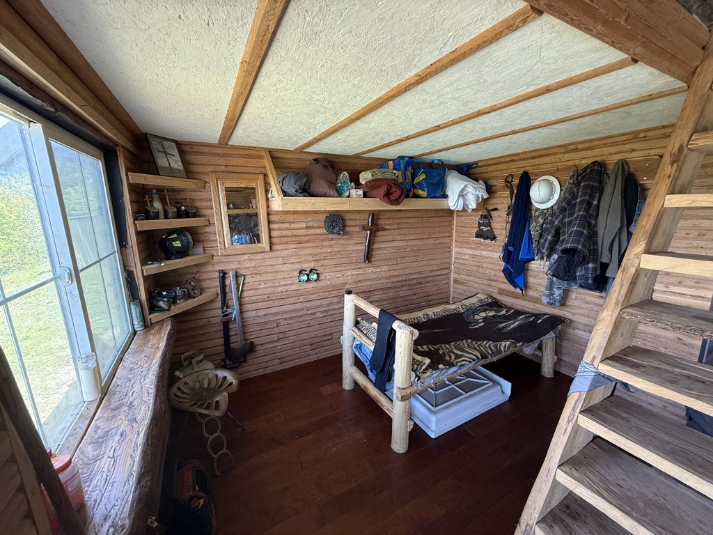 Picture 6