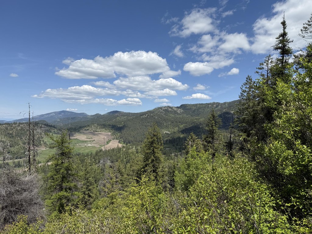Picture 19