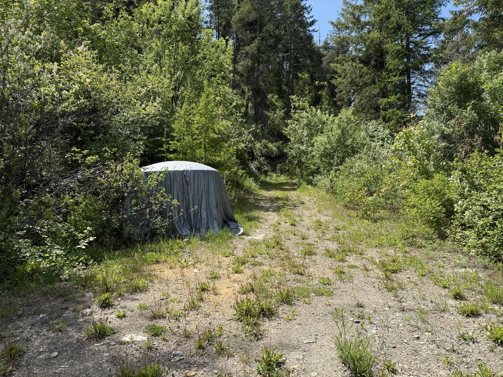 Picture 15