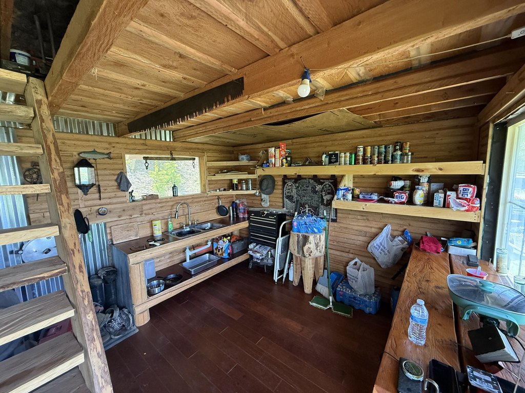 Picture 5