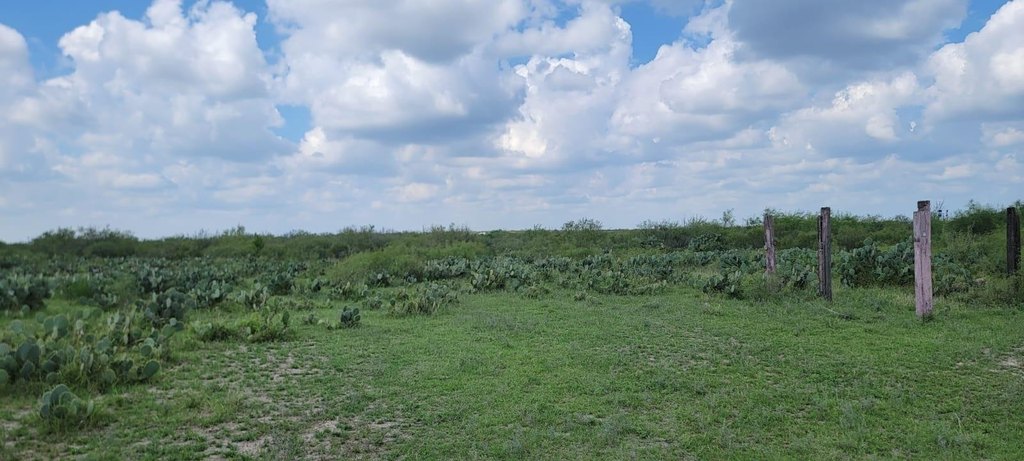 Picture 4