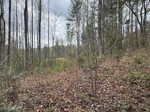 LAND - Boomer, NC
