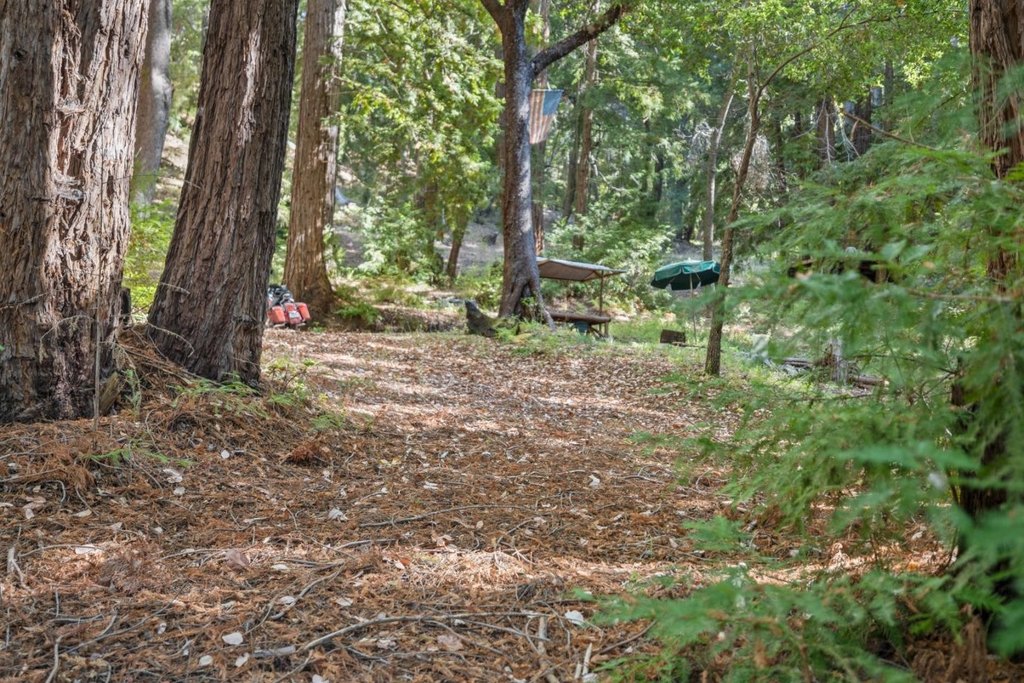 Picture 7