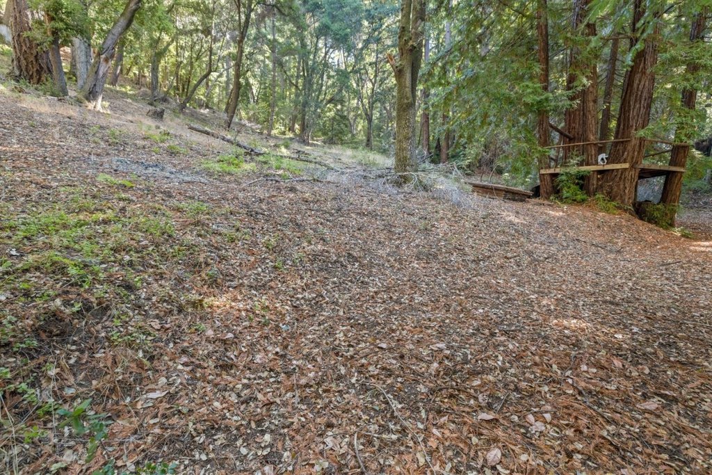 Picture 16
