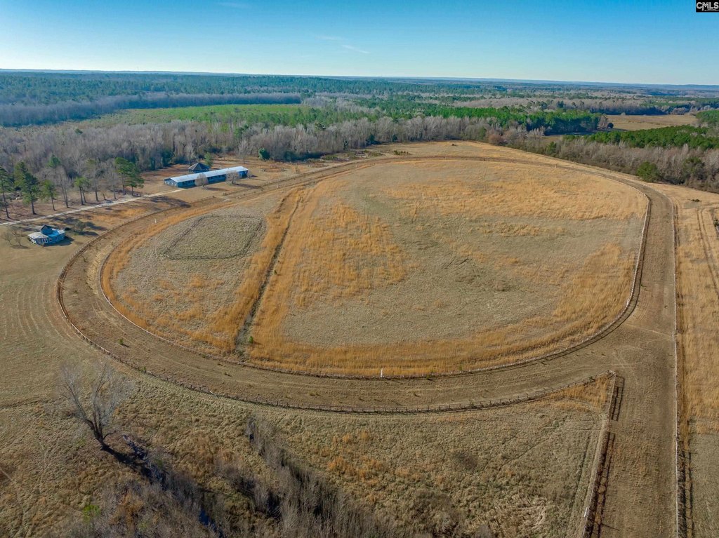 Picture 41