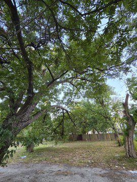 Land, Dallas, TX