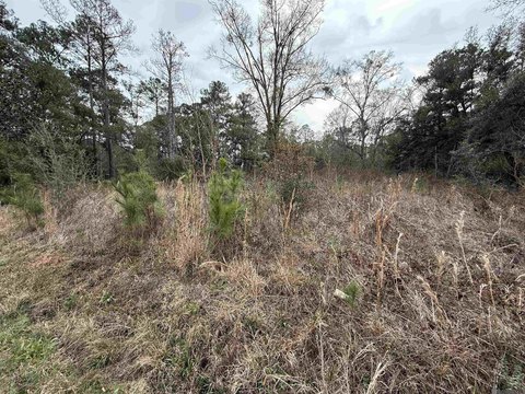 Land, Lacombe, LA