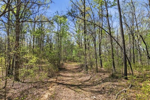 Wooded Homesite in Ball Ground
