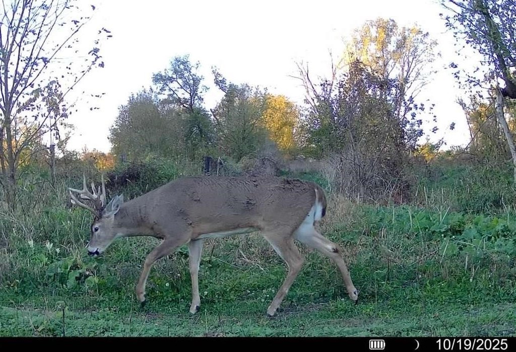 Picture 29