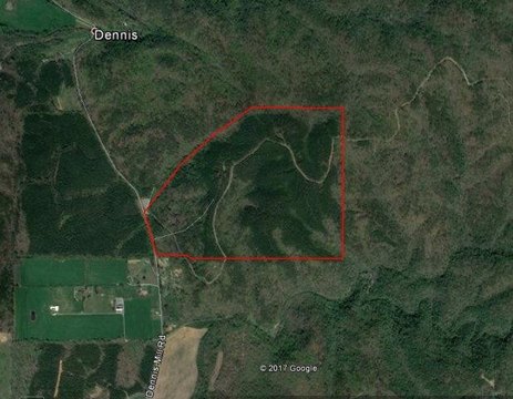 Murray County Mountain Hunting Land