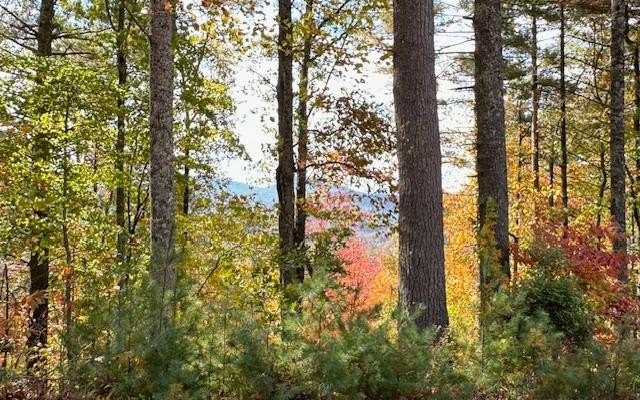 Mountain View Vacant Land