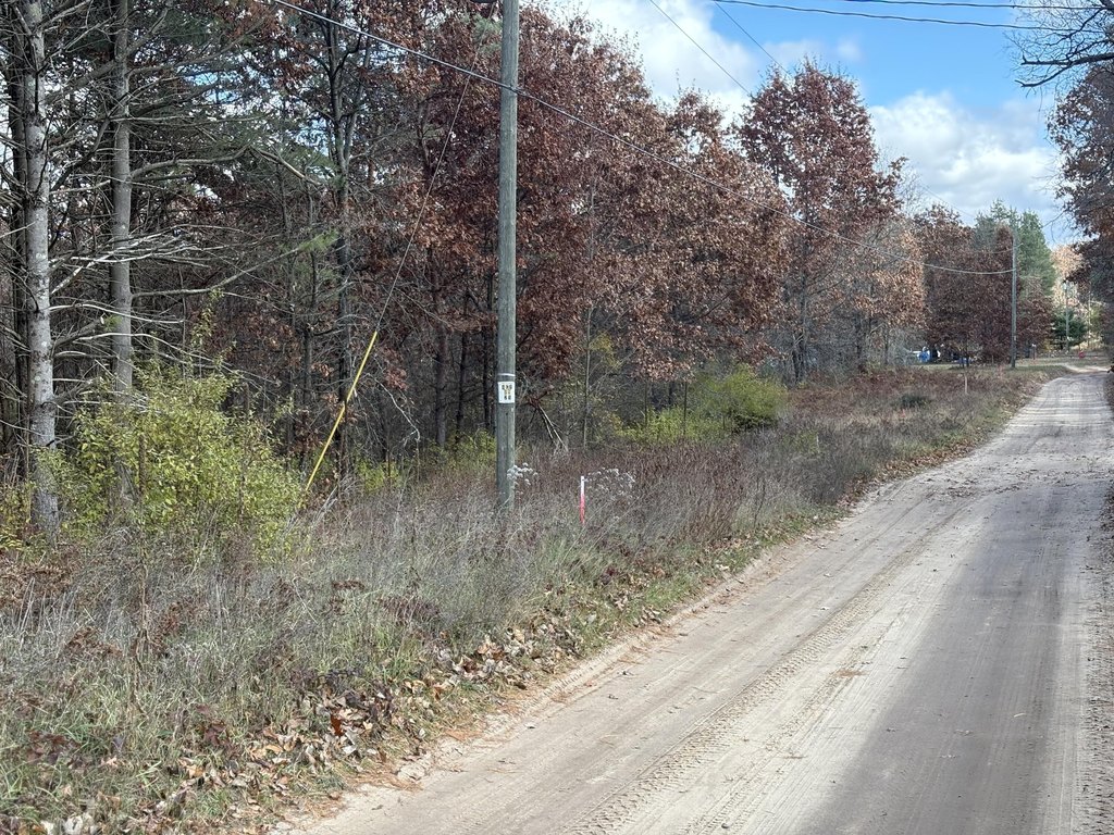 Picture 3