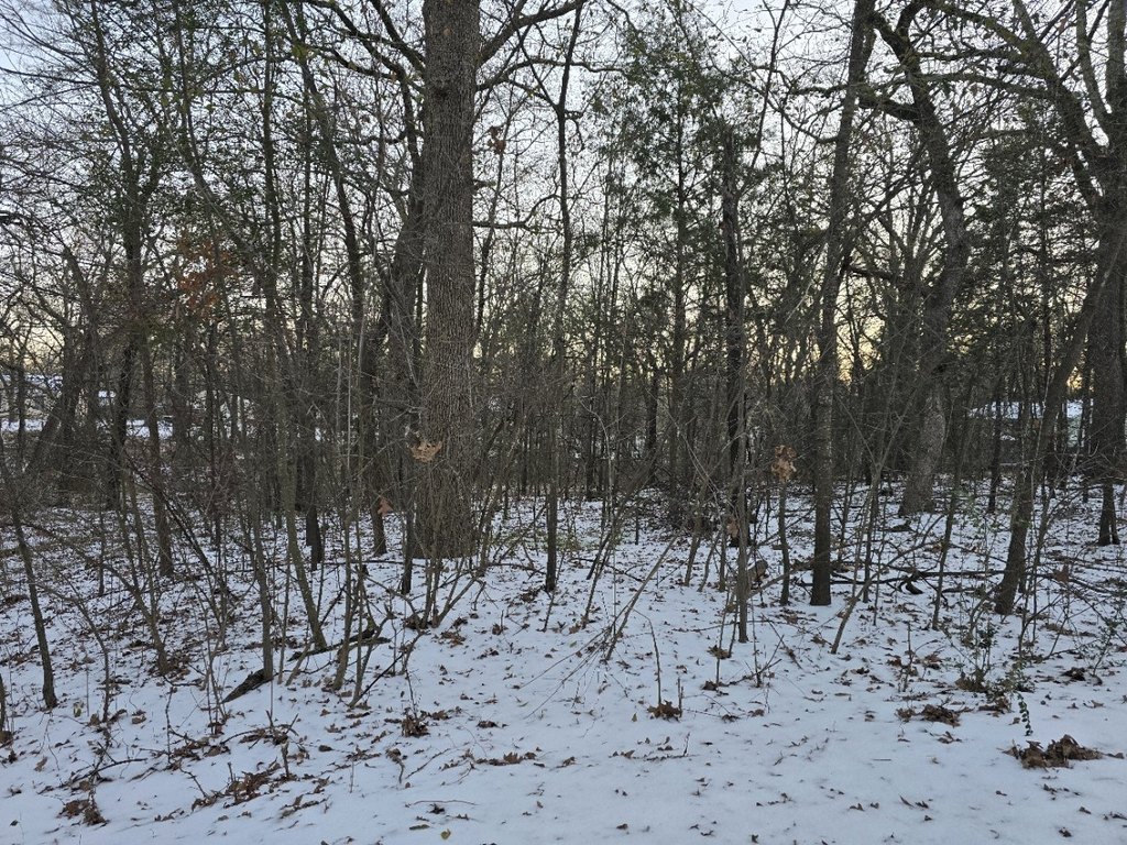 Picture 2