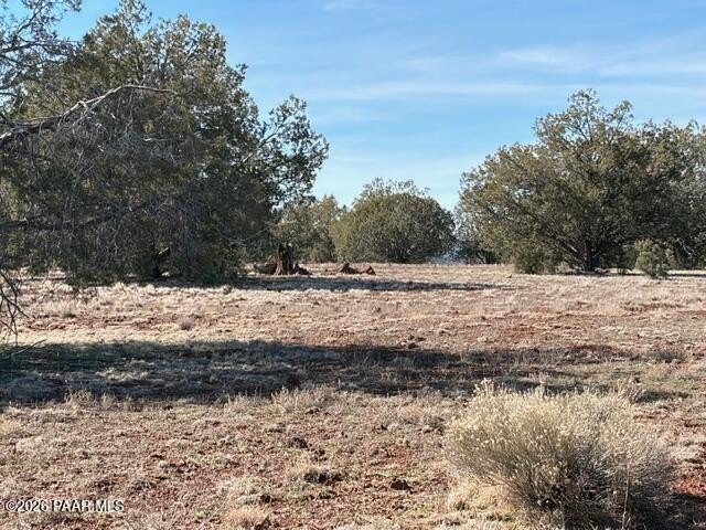 Scenic Land Parcel in Ash Fork