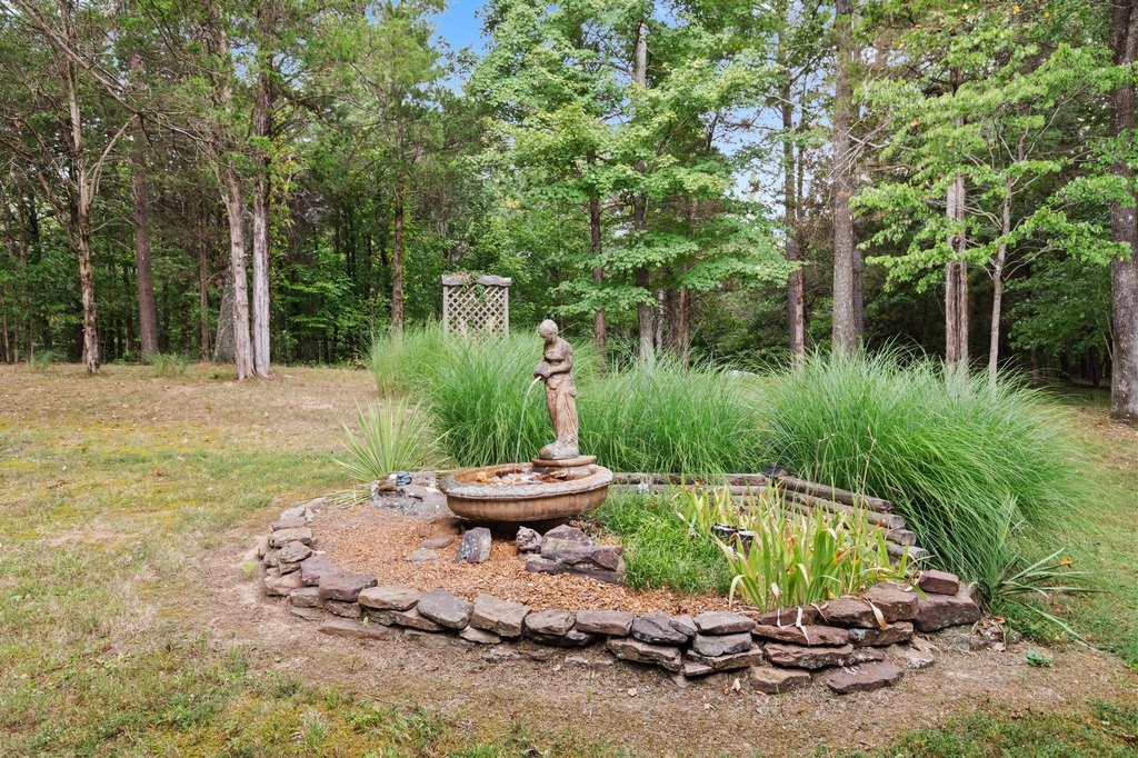 Picture 29