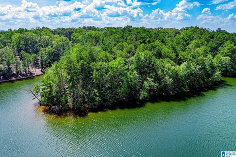 LAND/LOTS, WEDOWEE, AL